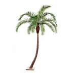 Phoenix palmboom curved 300cm
